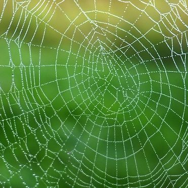 Samen sterker: ENSIE en De Omslag voor een eerlijk Europa